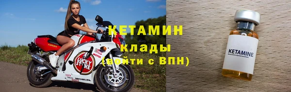 прущие грибы Балахна