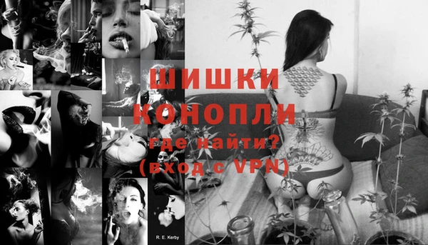 прущие грибы Балахна