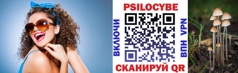 Псилоцибиновые грибы ЛСД  цены   Чёрмоз 